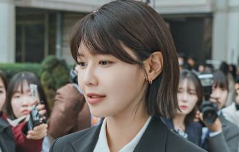 Адвокат айдола