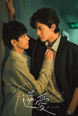 Отомщённая любовь постер